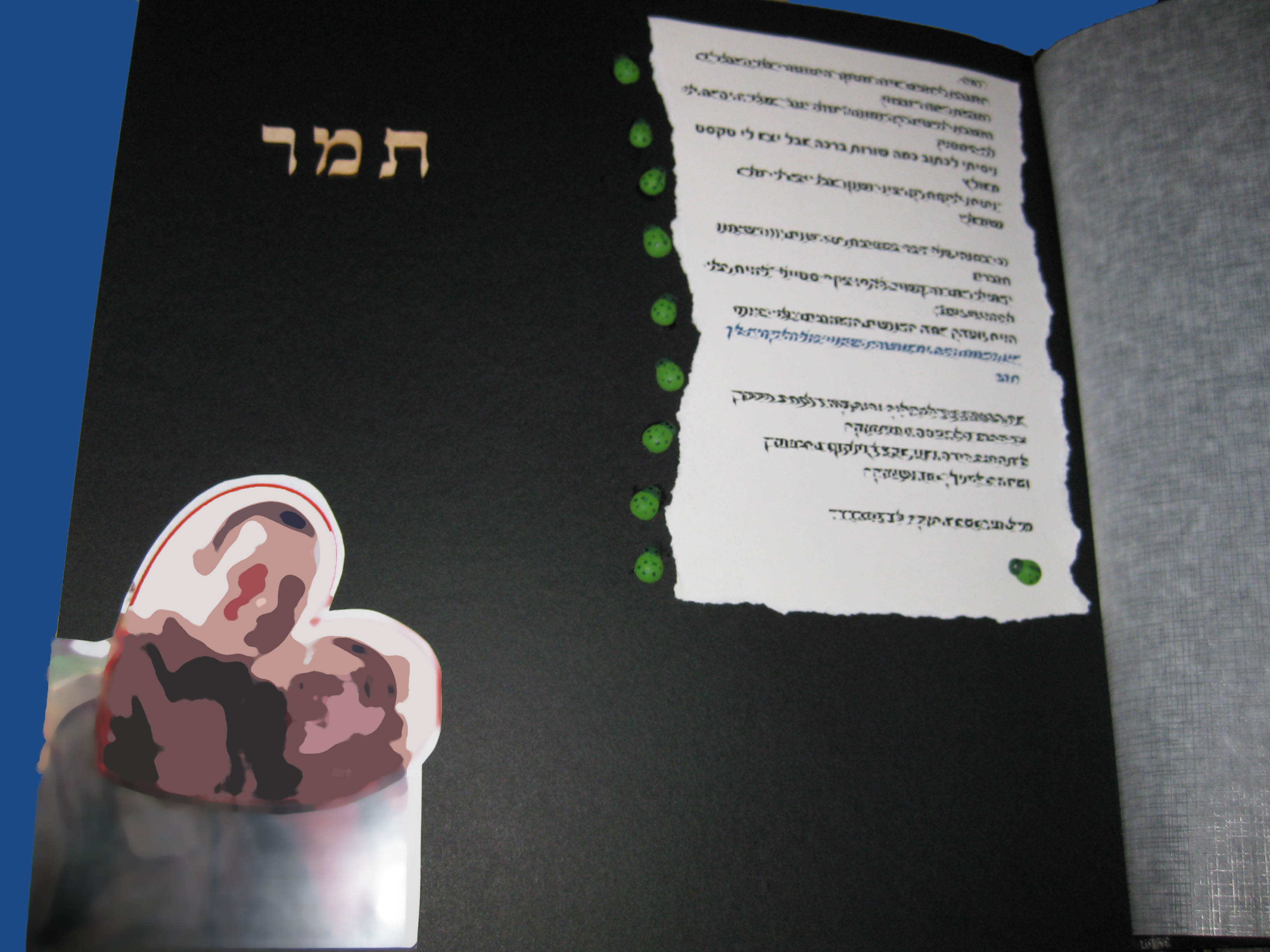 עיצוב 5